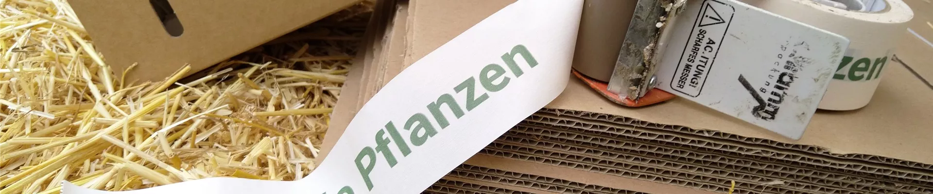 Pflanzenversand-14-0-4002-3024