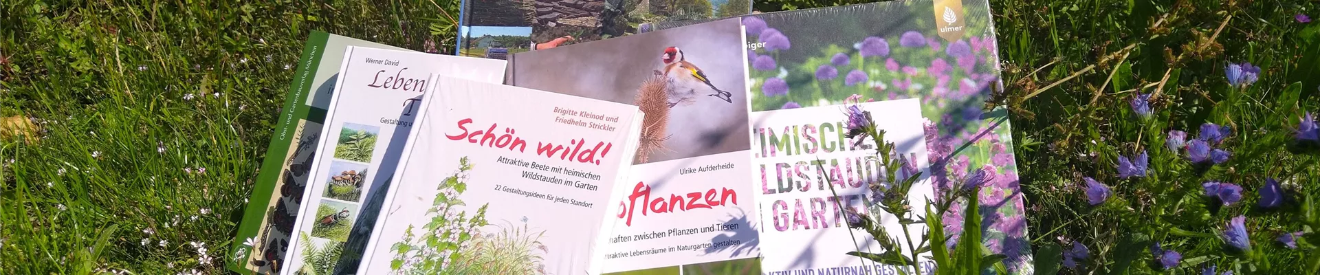 Bücher trapiert (1) für Slider-0-434-4032-2268