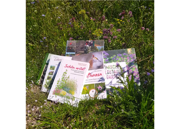 Bücher